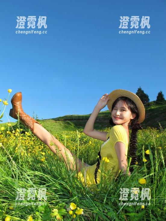 155.fun的资源？不仅仅是瓜，还有什么呢…