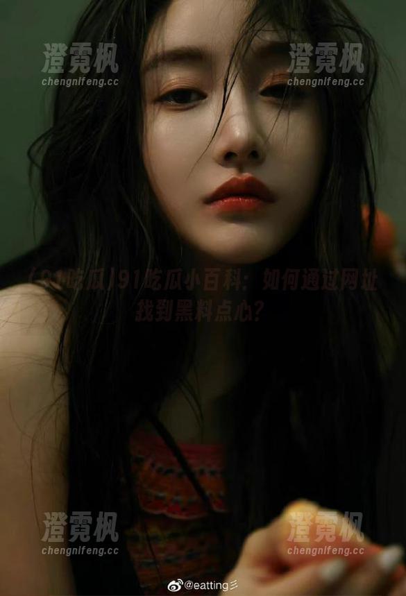 91吃瓜小百科：如何通过网址找到黑料点心？