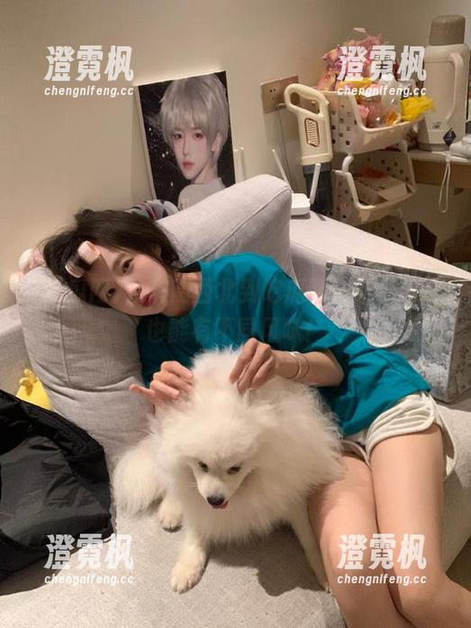从东南西北到吃瓜网导航，入口也能有不同风味！