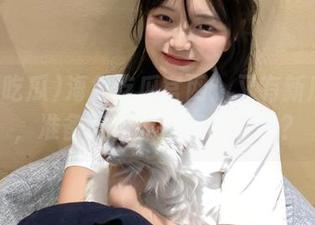 海角吃瓜官网：又有新瓜上线，准备好你的好奇心了吗？