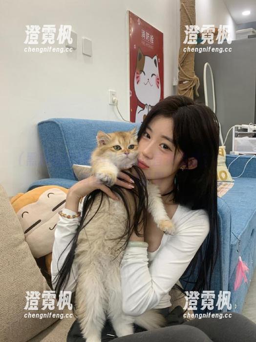 黑料社区ios首页免费？快来填饱你的八卦胃！
